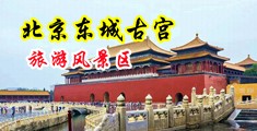 毛茸茸的大鸡巴中国北京-东城古宫旅游风景区